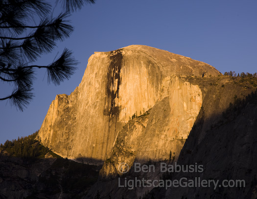 Half Dome Sunset. Yosemite, California. Half Dome lights up in a brillant yellow glow during sunset in Yosemite.  Ben Babusis, Lightscape Gallery.