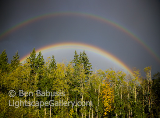 Double Bow. Issaquah, Washington. A dramatic double rainbow forms over Tiger Mountain in Issaquah, just east of Seattle, during stormy weather.  Ben Babusis, Lightscape Gallery.