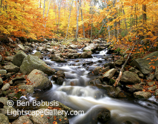 Autumn Glory. Central Vermont. Autumn foliage surrounds stream in central vermont at the peak of color.  Ben Babusis, Lightscape Gallery.