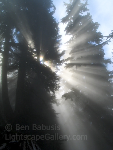 Through the Trees. McClellan Butte, Washington. Crepuscular rays beam through the trees in the Cascades.  Ben Babusis, Lightscape Gallery.