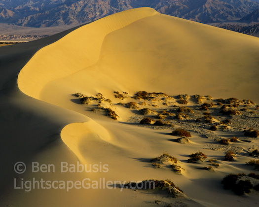 Sand Curves. Death Valley, California. Sunrise highlights the wind blown sand of the Death Valley dunes.  Ben Babusis, Lightscape Gallery.