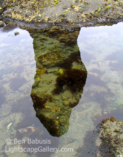 Seastack Reflection. Shi Shi Beach, Washington. Reflection of a seastack accentuates the underwater features of the tidal zone.  Ben Babusis, Lightscape Gallery.