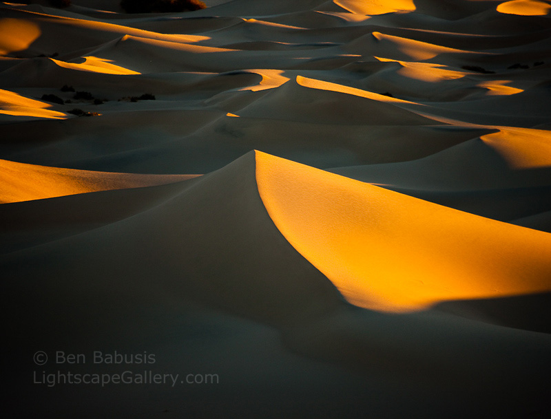 Black and Yellow. Death Valley, CA. Early morning magic light infiltrates the Stovepipe Wells Dunes in Death Valley, creating a contrasty landscape of blacks and yellows.  Ben Babusis, Lightscape Gallery.
