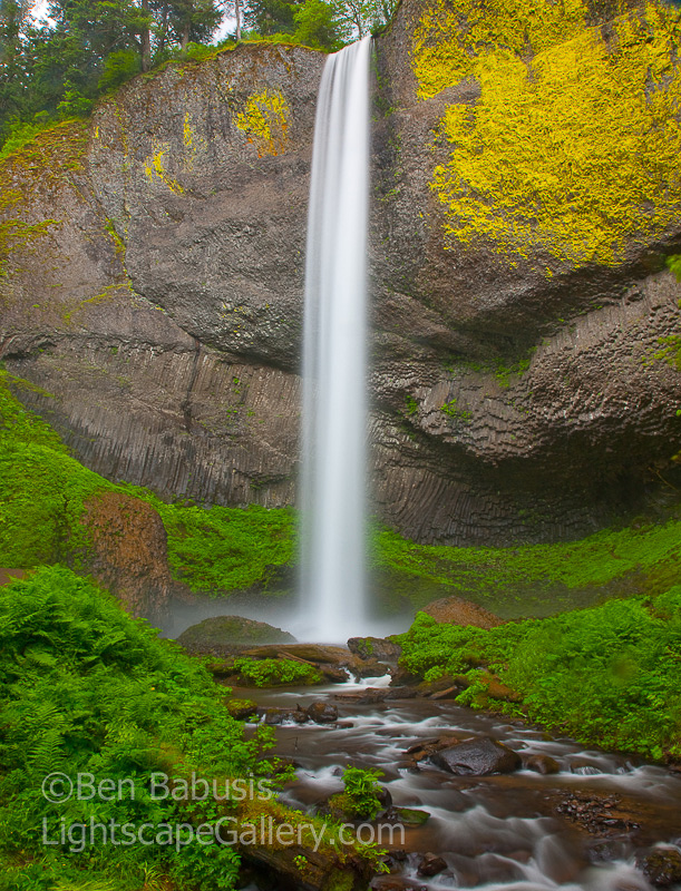 Latourelle Falls. Columbia Gorge, OR. One of most beautiful of the Columbia River Gorge waterfalls drops unimpeded from the colorful basalt cliffs above.  Ben Babusis, Lightscape Gallery.