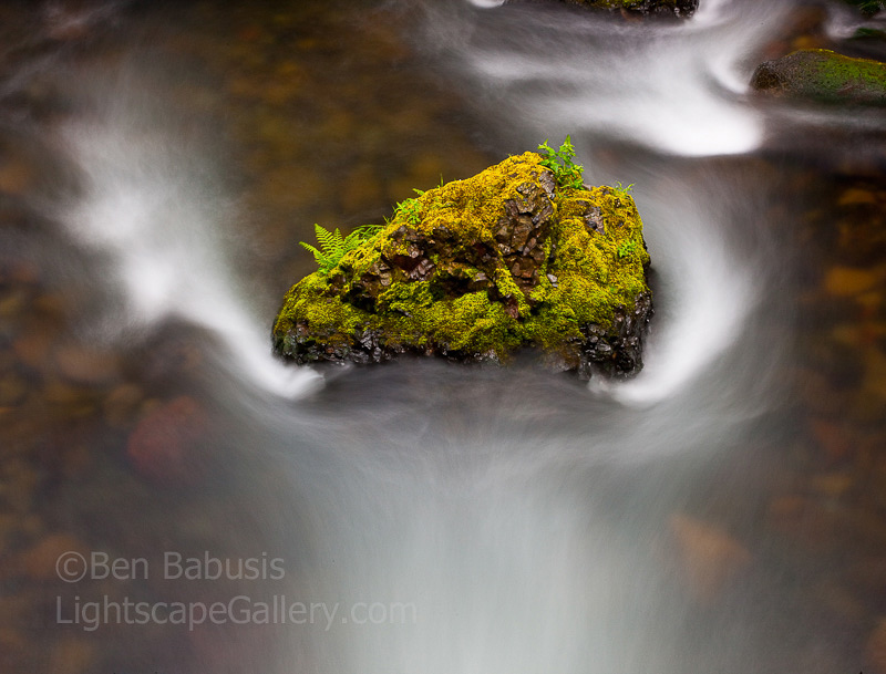 Rock and Flow. Columbia Gorge, OR. Time exposure of moss and fern covered rock disturbing the flow of water near Elowah Falls.   Ben Babusis, Lightscape Gallery.
