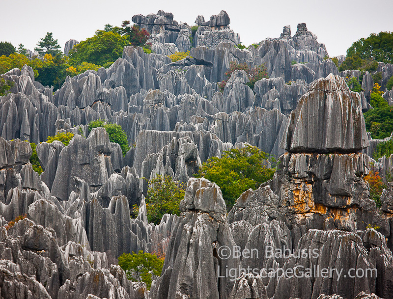 Stone Forest. Kunming, China. Weathered limestone outcrops formed 270 million years ago beneath the sea form a forest of stone monuments near Kunming in southern China.  Ben Babusis, Lightscape Gallery.