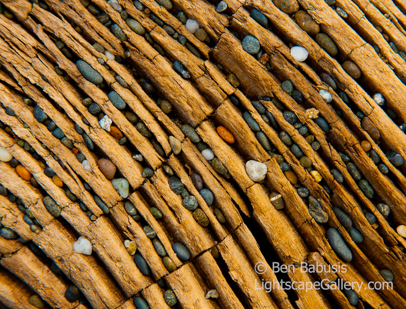 Pebble Wood. Ocean Shores, WA. Beach pebbles embedded in driftwood on the beach.  Ben Babusis, Lightscape Gallery.