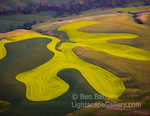 Rorschach Farmland. The Palouse, Washington. Like a Rorschach ink blot, farmland in the Palouse is convoluted and twisting, following the hilly contours of the land. (Thanks to pilot Drew Coyle for aerial support.)   Ben Babusis, Lightscape Gallery.
