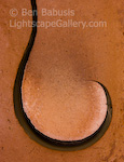 Hooked on Mud. Grand Canyon, Arizona. A hook shaped fissure developed along the drying muddy floor of a Grand Canyon tributary after a thunderstorm.  Ben Babusis, Lightscape Gallery.