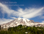 Paradise. Mt. Rainier, Washington. Mt. Rainier's Paradise explodes into view rounding a bend in this spectacular national park.  Ben Babusis, Lightscape Gallery.