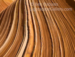 Waves of Sandstone. North Coyote Buttes, Arizona. Layers upon layers of sand twisted into waves of sandstone.  Ben Babusis, Lightscape Gallery.