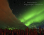 Dippin' into Green. Fairbanks, Alaska. The Big Dipper lies between a band of clouds and auroral band over Fairbanks.  Ben Babusis, Lightscape Gallery.