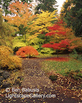 Colorsplash. Seattle, Washington. Fall turns the Japanese Garden at the UW Arboretum into a rainbow of colors.  Ben Babusis, Lightscape Gallery.
