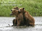 Lean on Me. Mikfik Creek, Alaska. Three cubs huddle together watching mom catching salmon in the creek.  Ben Babusis, Lightscape Gallery.