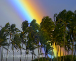 Tropical Rainbow. Oahu, Hawaii. An intense rainbow forms off the coast of Hawaii.  Ben Babusis, Lightscape Gallery.
