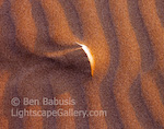 The Feather. Ruby Beach, Washington. Feather on sand catches last rays of light on the Olympic Penninsula.  Ben Babusis, Lightscape Gallery.