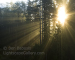 Crepuscular Rays. Issaquah, Washington. Rays of light beams through the forest near Tiger Mountain.  Ben Babusis, Lightscape Gallery.