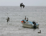 Fishing Time. Puerto Vallarta, Mexico. Some pelicans divebomb the ocean for fish, while others commandeer a fishing vessel.  Ben Babusis, Lightscape Gallery.
