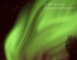 Ghost Aurora. Fairbanks, Alaska. A Halloween aurora fills the sky directly over Fairbanks and has an eerie resemblance to a ghost.  Ben Babusis, Lightscape Gallery.