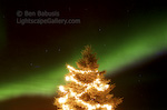 Aurora Tree. Fairbanks, Alaska. An aurora lights up the night sky during Christmastime in Alaska.  Ben Babusis, Lightscape Gallery.