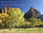 Zion Autumn. Zion Park, Utah. Fall colors erupt in Zion National Park. The Patriarch rises on the right.  Ben Babusis, Lightscape Gallery.