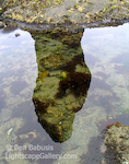 Seastack Reflection. Shi Shi Beach, Washington. Reflection of a seastack accentuates the underwater features of the tidal zone.  Ben Babusis, Lightscape Gallery.