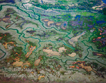 Fractal Landscape. North of Katmai Nat'l Park, Alaska. Serpentine river tributaries are highlighted by green summer grasses over the coast of Alaska just west of Homer.  Ben Babusis, Lightscape Gallery.