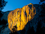 On Golden Rock. Yosemite, CA. Last rays of light turn the eastern flank of Yosemite's El Capitan golden yellow, illuminating several small waterfalls generated from melting winter snow.  Ben Babusis, Lightscape Gallery.