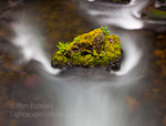 Rock and Flow. Columbia Gorge, OR. Time exposure of moss and fern covered rock disturbing the flow of water near Elowah Falls.   Ben Babusis, Lightscape Gallery.