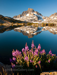 Banner Reflection. Thousand Island Lake, CA. Banner Peak makes perfect reflection in Thousand Island Lake at sunrise. The lake was once one of the favorite shooting locations for Ansel Adams.  Ben Babusis, Lightscape Gallery.