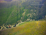 Above the Jungle. Molokai, Hawaii. Aerial view of colorful forest covering Molokai's west coast.  Ben Babusis, Lightscape Gallery.